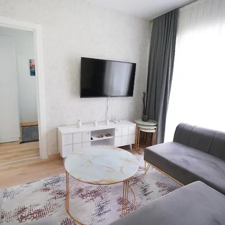 Daire Classic Sh17 *