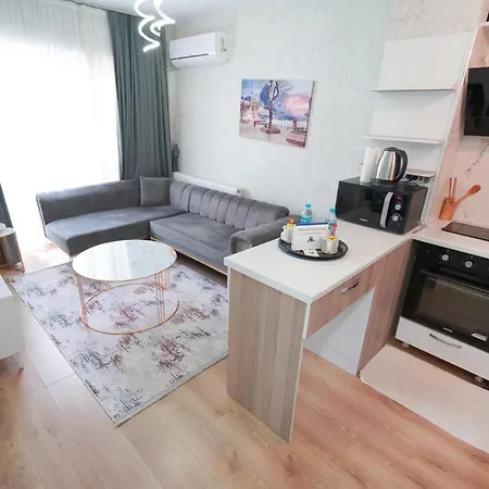 Appartement Classic Sh17 Istanboel