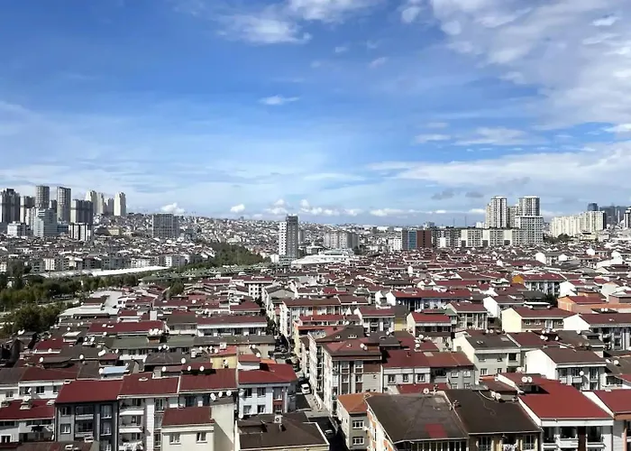 Classic Sh17 이스탄불