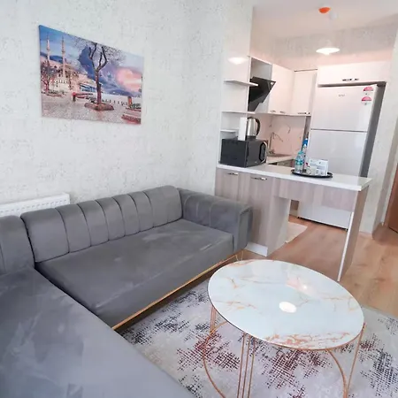 Classic Sh17 Appartement Istambul